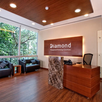 DIAMOND MANAGEMENT TECHNOLOGY CONSULTANTS